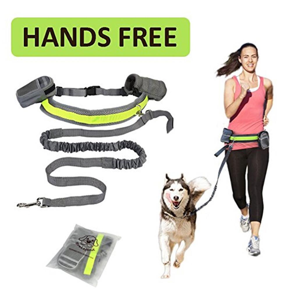 Mountain Dog Adjustable Hands Free Dog Leash