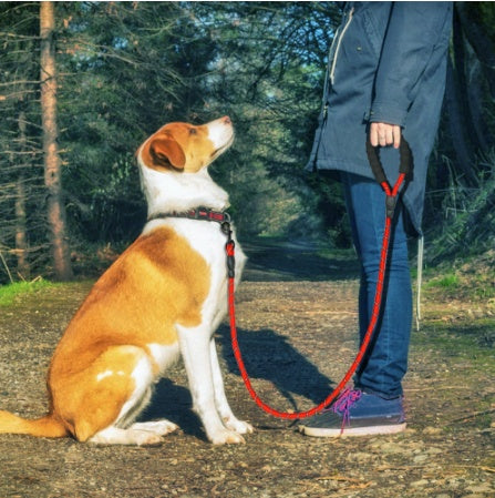 Mountain Dog Reflective Dog Leashes