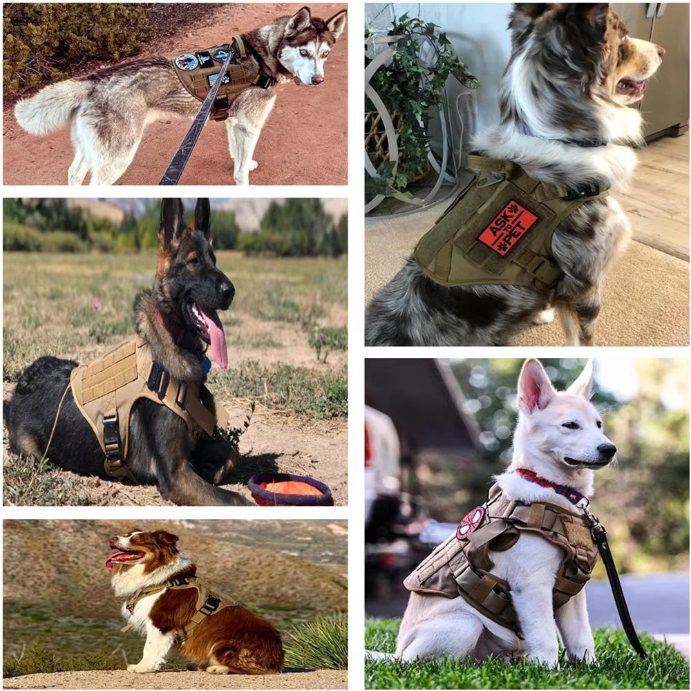 Mountain Dog Elite K9 Tactical Gear Kit
