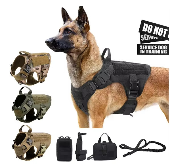 Mountain Dog Elite K9 Tactical Gear Kit