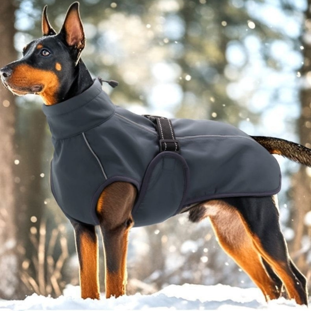 Mountain Dog Alpine Jacket