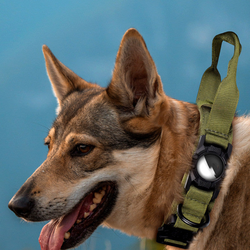 Rugged Military Air-Tag Dog Collar